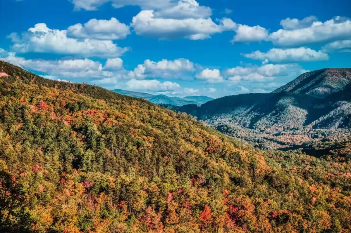 A panoramic view of the Smoky Mountains, blanketed in vibrant fall foliage under a dramatic sky. The rolling hills and distant peaks evoke the grandeur and tranquility of the national park, inviting thoughts of hiking, photography, and nature exploration.